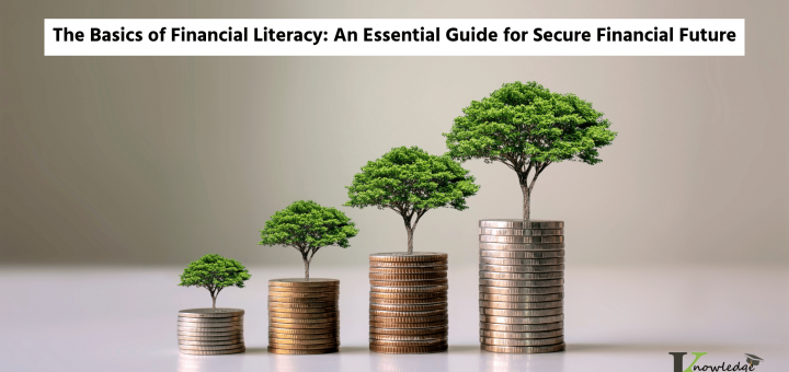 The Basics of Financial Literacy An Essential Guide for Secure Financial Future
